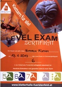 Urkunde LevelExam 2013